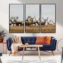 Elk Herd Wall Art Canvas Print – Framed Wildlife Photography by MyGreatCanvas | Canvas Wall Art Prints | Photo Prints & Wall Decor