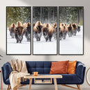 American Bison Herd Wall Art Canvas Print – Powerful Winter by MyGreatCanvas | Canvas Wall Art Prints | Photo Prints & Wall Decor