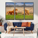 Texas Longhorn Pair Wall Art Canvas Print – Peaceful Rustic by MyGreatCanvas | Canvas Wall Art Prints | Photo Prints & Wall Decor