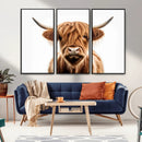 Scottish Highland Cow Canvas Print, Framed Highland Cow