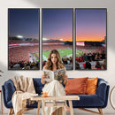 Dooley Stadium Wall Art, Sports Arena Canvas Print, Dooley