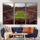 Tennessee Neyland Stadium Wall Art, Sports Arena Canvas by MyGreatCanvas | Canvas Wall Art Prints | Photo Prints & Wall Decor