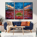 Tennessee Neyland Stadium Wall Art, Sports Arena Canvas by MyGreatCanvas | Canvas Wall Art Prints | Photo Prints & Wall Decor