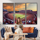 Dooley Stadium Wall Art, Sports Arena Canvas Print, Dooley