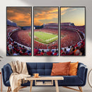 Dooley Stadium Wall Art, Sports Arena Canvas Print, Dooley by MyGreatCanvas | Canvas Wall Art Prints | Photo Prints & Wall Decor