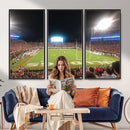 Dooley Stadium Wall Art, Sports Arena Panoramic Canvas
