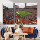 Jordan-Hare Stadium Wall Art Canvas Print, College Sports