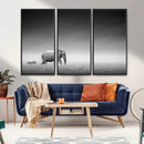 Elephand and Zebra Wall Art Canvas Print, Modern Artwork