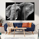 Big Elephant Close Up Wall Art Canvas Print