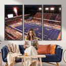 Boise State Stadium Large Wall Art Canvas Print for Living