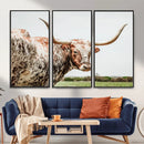 Texas Catle Longhorn Wall Art Canvas Print for Farmhouse by MyGreatCanvas | Canvas Wall Art Prints | Photo Prints & Wall Decor