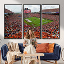 Auburn Stadium Wall Art Canvas Print, Jordan Hare Stadium