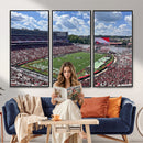 Georgia Bulldogs Stadium Wall Art Canvas Print, Sanford
