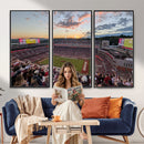 Donald W. Reynolds Razorback Stadium Wall Art Canvas Print –