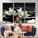 Plumeria Frangipani Black Stone Canvas | White Flower Spa by MyGreatCanvas | Canvas Wall Art Prints | Photo Prints & Wall Decor