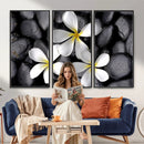 Plumeria Frangipani Black Stone Canvas | White Flower Spa by MyGreatCanvas | Canvas Wall Art Prints | Photo Prints & Wall Decor