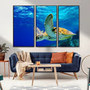 Sea Turtle Wall Art Canvas Print, Sea life in the Ocean Wall