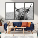 Newfoundland Cow Art Wall Art, Black White Cow Art Wall Art