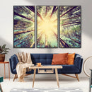 Tree and Sunshine Canvas Print