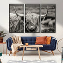 Cow Focus Canvas Wall Art Print by MyGreatCanvas | Canvas Wall Art Prints | Photo Prints & Wall Decor