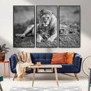 King Forest Lion Wall Art Canvas Print – Framed Majestic by MyGreatCanvas | Canvas Wall Art Prints | Photo Prints & Wall Decor