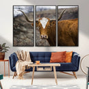 Texas Longhorn Canvas Wall Art - Longhorn Steer Canvas Wall by MyGreatCanvas | Canvas Wall Art Prints | Photo Prints & Wall Decor