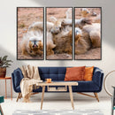 Lion Pair Wall Art Canvas Print – Framed Wildlife Scene with