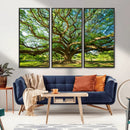 Majestic Oak Tree Wall Art – Serene Nature Canvas Print with