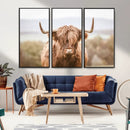 Scottish Serene Highland Cow Canvas Wall Art – Serene