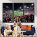 Washington-Grizzly Stadium Canvas Print, American Football
