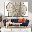 Abstract Wood Tree Ring Wall Art - Ready to Hang Minimalist