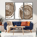 Wood Tree Ring Wall Art Canvas Prints, Tree Rings –