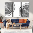 Abstract Large Tree Rings – Minimalist Black and White Wood