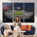 Penn State University Nittany Lions Football Team Print -