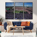 South Carolina Gamecocks Football Team Print - Columbia