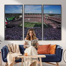 South Carolina Gamecocks Football Team Print - Columbia