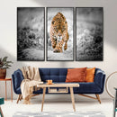 Jaguar Wall Art Canvas Print - Majestic Big Cat in Focused by MyGreatCanvas | Canvas Wall Art Prints | Photo Prints & Wall Decor