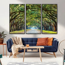 Wormsloe State Plantation Driveway Wall Art Canvas Print by MyGreatCanvas | Canvas Wall Art Prints | Photo Prints & Wall Decor