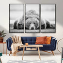 Resting Grizzly Bear Wall Art Canvas Print – Majestic Lazy by MyGreatCanvas | Canvas Wall Art Prints | Photo Prints & Wall Decor