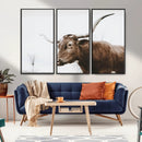 Rustic Bull Wall Art Canvas Print – Modern Longhorn