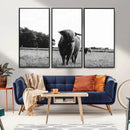 Black and White Highland Cow Wall Art Canvas Print | Rustic