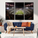 Eagles Field Stadium Wall Art - Philadelphia Eagles Football