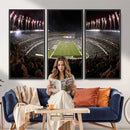 Eagles Field Stadium Wall Art - Philadelphia Eagles Football