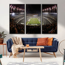 Eagles Field Stadium Wall Art - Philadelphia Eagles Football