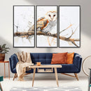 Barn Owl Wall Art on Branch | Stunning Canvas Print for