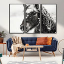Framed Black and White Horse Wall Art | Ready to Hang and by MyGreatCanvas | Canvas Wall Art Prints | Photo Prints & Wall Decor