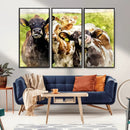 Curious Cows Farmhouse Wall Art | Ready to Hang and Framed