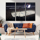 Honda Center California Anaheim Ducks Hockey Stadium Wall