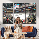 Xcel Energy Center St Paul Minnesota Wild Ice Hockey Stadium