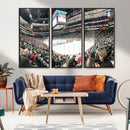 Xcel Energy Center St Paul Minnesota Wild Ice Hockey Stadium